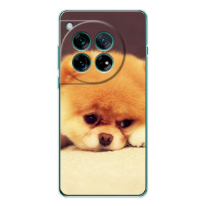 Чехол (ТПУ) Милые собачки для Xiaomi Redmi K90 Pro Max – Померанский шпиц