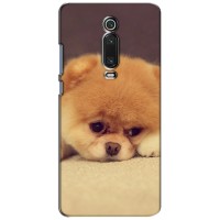 Чехол (ТПУ) Милые собачки для Xiaomi Mi 9T Pro (Померанский шпиц)