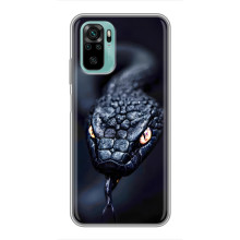 Чехол с картинкой «Хищники» для Xiaomi Redmi Note 10 5G – Змея