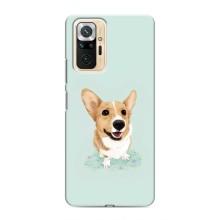 Чохли з собаками для Xiaomi Redmi Note 10 Pro (VPrint) (Коргі)