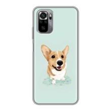Чохли з собаками для Xiaomi Redmi Note 10S (VPrint) (Коргі)