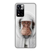Чехлы с Обезьянами NFT для Xiaomi Redmi Note 11 Pro Plus (AlphaPrint) (обезьяна NFT в тату)