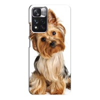 Чехол (ТПУ) Милые собачки для Xiaomi Redmi Note 11 Pro Plus – Собака Терьер