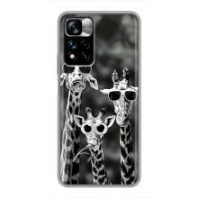 Силиконовый чехол с КАРТИНКАМИ лето для Xiaomi Redmi Note 11 Pro Plus (AlphaPrint) (Жирафы в очках)