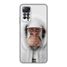 Чехлы с Обезьянами NFT для Xiaomi Redmi Note 11 Pro (AlphaPrint) (обезьяна NFT в тату)