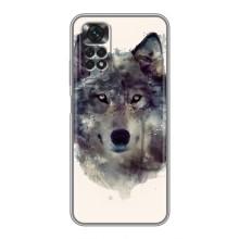 Чохол з Вовком на Xiaomi Redmi Note 11 / 11s – Вовк