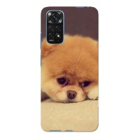 Чехол (ТПУ) Милые собачки для Xiaomi Redmi Note 11 4G / 11s – Померанский шпиц
