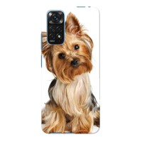 Чехол (ТПУ) Милые собачки для Xiaomi Redmi Note 11 4G / 11s (Собака Терьер)