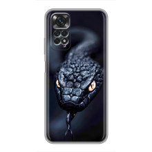 Чехол с картинкой «Хищники» для Xiaomi Redmi Note 11 / 11s – Змея