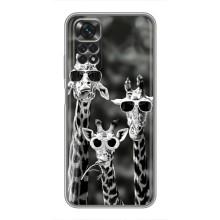 Силиконовый чехол с КАРТИНКАМИ лето для Xiaomi Redmi Note 11 / 11s (AlphaPrint) (Жирафы в очках)