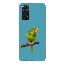 Силіконовий бампер з птичкою на Xiaomi Redmi Note 11 4G / 11s – Попугайчик