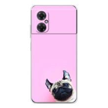 Чехлы с собаками для Xiaomi Redmi Note 11R (VPrint) (Смешная собака)