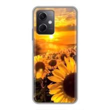 Чехол с Цветами для Xiaomi Redmi Note 12 (5G) (поле подсолнухов)