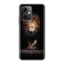 Чехол с картинкой на Xiaomi Redmi Note 12 (5G) – Красивый Лев
