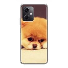 Чехол (ТПУ) Милые собачки для Xiaomi Redmi Note 12 (5G) – Померанский шпиц
