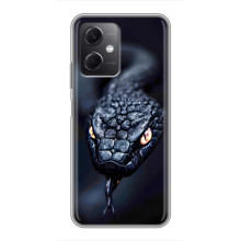 Чехол с картинкой «Хищники» для Xiaomi Redmi Note 12 (5G) – Змея