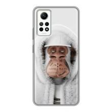Чехлы с Обезьянами NFT для Xiaomi Redmi Note 12 Pro (4g) (AlphaPrint) (обезьяна NFT в тату)