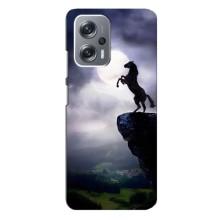 Чохли з зображенням різних тварин на Xiaomi Redmi Note 12 Pro Plus (Кінь)