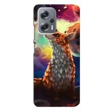 Чохли з картинкою Лисичка для Xiaomi Redmi Note 12 Pro Plus (VPrint) (Лисичка в космосі)
