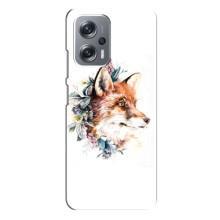 Чохли з картинкою Лисичка для Xiaomi Redmi Note 12 Pro Plus (VPrint) (Лиса в квітах)