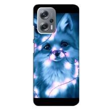 Чохли з картинкою Лисичка для Xiaomi Redmi Note 12 Pro Plus (VPrint) (Яскрава лисичка)