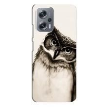 Чохол з пташками на Xiaomi Redmi Note 12 Pro Plus (VPrint) (Сова)