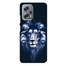 Чохол з картинкою ЛЕВ для Xiaomi Redmi Note 12 Pro Plus (VPrint) (Синій Лев)