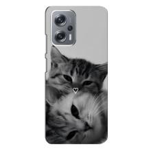 Чохол з малюнком кіт на Xiaomi Redmi Note 12 Pro Plus (Пара котів)