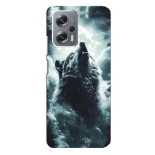 Чехол с картинкой «Хищники» для Xiaomi Redmi Note 12 Pro Plus