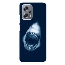 Силіконовий бампер з картинкою звірів для Xiaomi Redmi Note 12 Pro Plus (Пащу Акули)