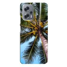 Силіконовий чохол з КАРТИНКАМИ літо для Xiaomi Redmi Note 12 Pro Plus (AlphaPrint) (Пальма)