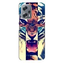 Чехлы с изображением разных животных для Xiaomi Redmi Note 12 Pro (5g) (Яркий Тигр)