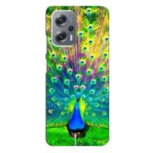 Чехол с птицами на Xiaomi Redmi Note 12 Pro (5g) (VPrint) (Яркий Павлин)