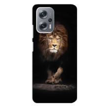 Чехол со Львом для Xiaomi Redmi Note 12 Pro (5g) (VPrint) (Лев)
