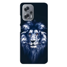 Чехол со Львом для Xiaomi Redmi Note 12 Pro (5g) (VPrint) (Синий Лев)