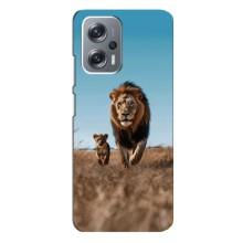 Чохол Король лев на Сяомі Редмі ноут 12 про (5г) (Мусафа і Сімба)