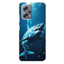 Чехол с картинкой «Хищники» для Xiaomi Redmi Note 12 Pro (5g) – Акула