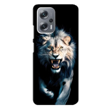 Чехол с картинкой «Хищники» для Xiaomi Redmi Note 12 Pro (5g) – Лев