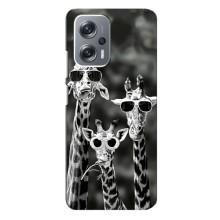 Силіконовий чохол з КАРТИНКАМИ літо для Xiaomi Redmi Note 12 Pro (5g) (AlphaPrint) (Жирафи в окулярах)