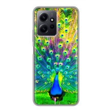 Чехол с птицами на Xiaomi Redmi Note 12 (VPrint) (Яркий Павлин)