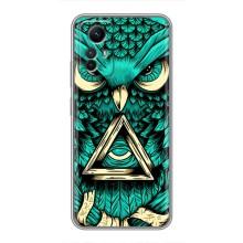 Чехол с птицами на Xiaomi Redmi Note 12s (VPrint) (Сова с глазом)