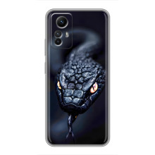 Чохол з картинкою 'Хижаки' для Xiaomi Redmi Note 12s – Змія