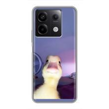 Бампер з принтом Меми для Xiaomi Redmi Note 13 (5G) – Качка