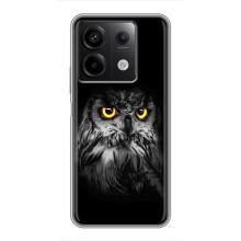 Чехлы с принтом СОВЫ для Xiaomi Redmi Note 13 (5G) – Сова на чёрном