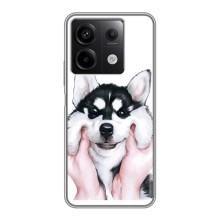 Бампер для Xiaomi Redmi Note 13 (5G) с картинкой "Песики" (Собака Хаски)
