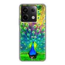 Чохол з пташками на Xiaomi Redmi Note 13 (5G) (VPrint) (Яскравий Павлин)