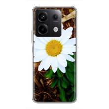 Чохол з ромашками на Xiaomi Redmi Note 13 (5G) – Біла ромашка