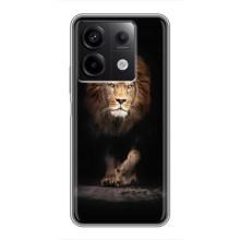 Чохол з картинкою ЛЕВ для Xiaomi Redmi Note 13 (5G) (VPrint) (Лев)