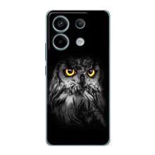 Чохли з принтом СОВИ для Xiaomi Redmi Note 13 Pro (5G) – Сова на чорному
