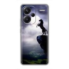 Чохли з зображенням різних тварин на Xiaomi Redmi Note 13 Pro Plus (Кінь)